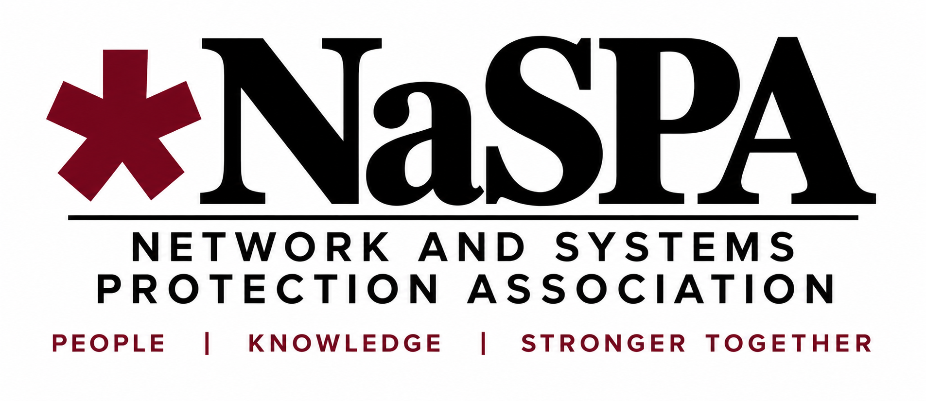 NaSPA, Network and Systems Protection Association